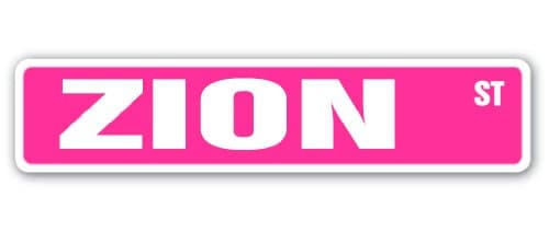 Zion Street Sign Childrens Name Room Sign | Indoor/Outdoor | 18" Wide Plastic Sign