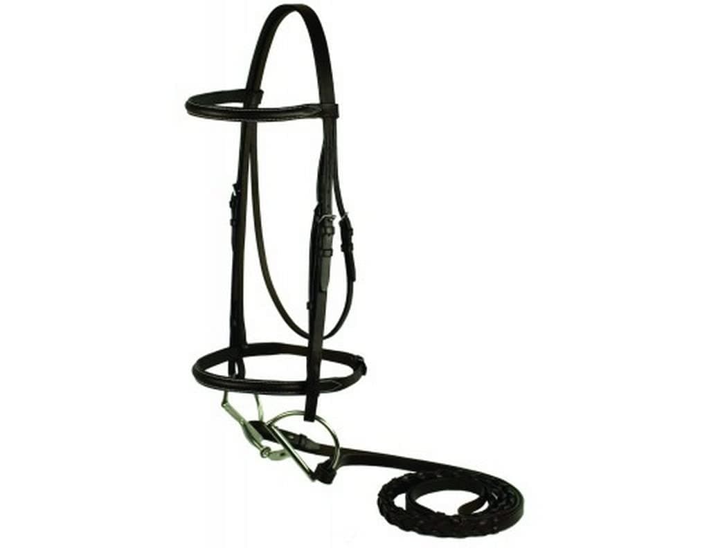 Tory Leather Gatsby Plain Raised Bridle Horse
