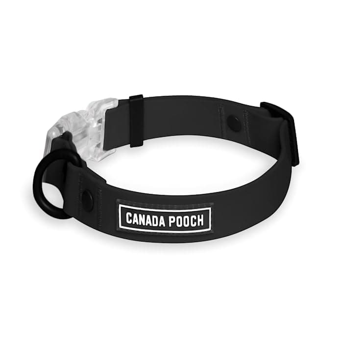 Canada Pooch, Waterproof Dog Collar Large Black