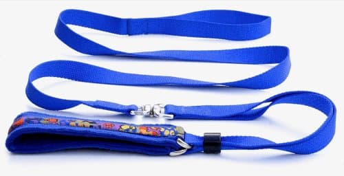 Large, EZSwivelLeash Signature Ribbon Pet Leash, Royal Blue
