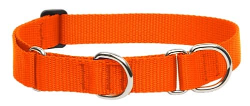 Lupine 15-22 Combo Dog Collar, 1-Inch, Orange