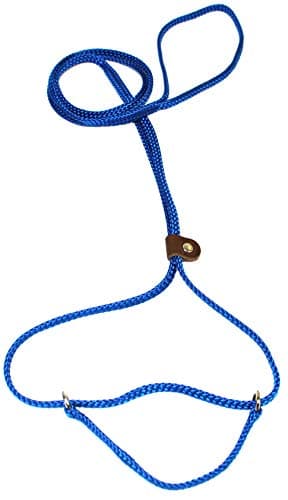 Lone Wolf 1/4 x 6' Flat Braid Martingale Leash Pacific Blue