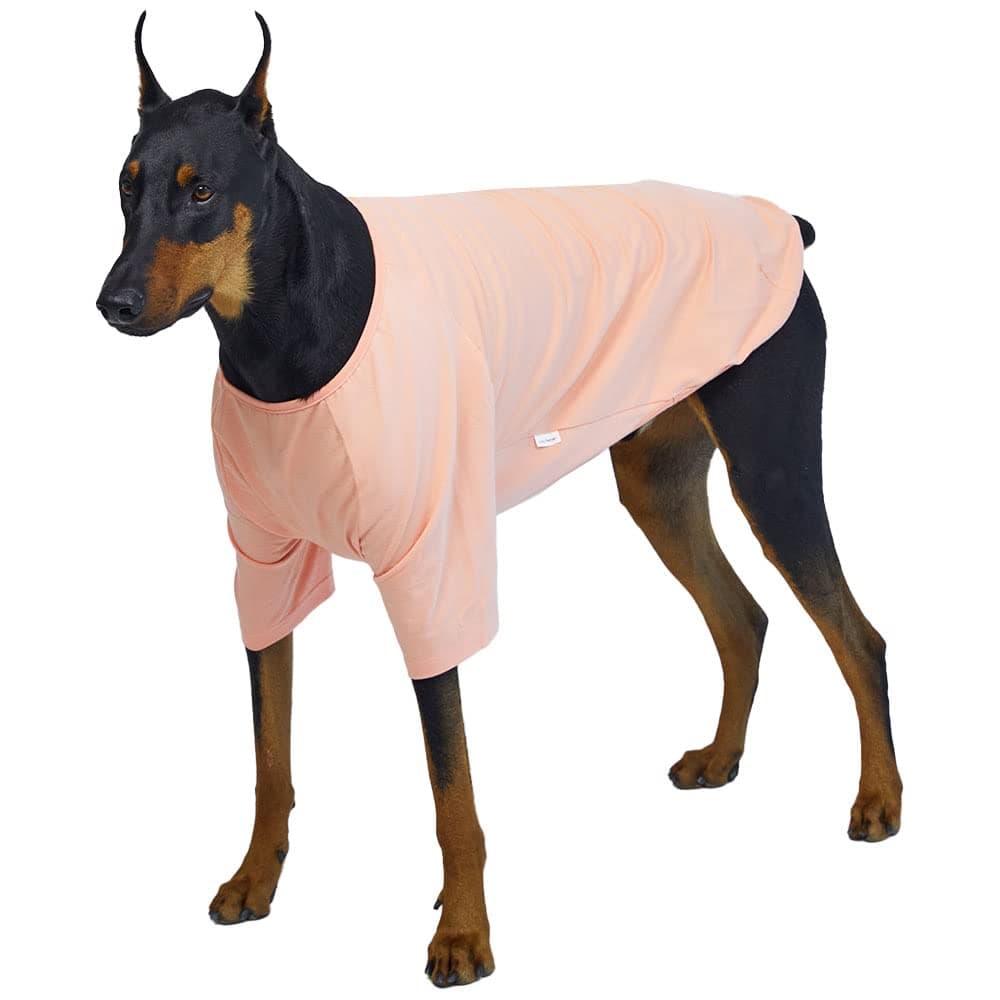 Lucky Petter Dog Shirt for Small Dogs Plain T-Shirts Soft Breathable Dog Cotton Shirt pet Clothes (2X-Large, Peach)