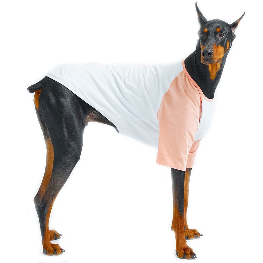 Lucky Petter Pet Clothes for Dog Cat Puppy Raglan T-Shirts Durable and Elastic Dog Shirt Apparel Outfits (2X-Large, White/Peach)