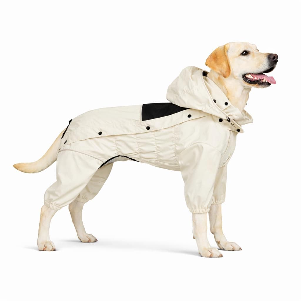 LOVELONGLONG Waterproof Dog Raincoat with Removable Hood – Outdoor Full Body Dog Jacket, Windproof Snowproof Shell Suit – All Season Pet Rain Gear Ivory XXL