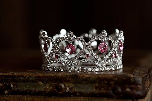 Claira Mini Pink Rhinestone Crown, Newborn Photography Prop, Toddler/Child Flower Girl Princess Tiara