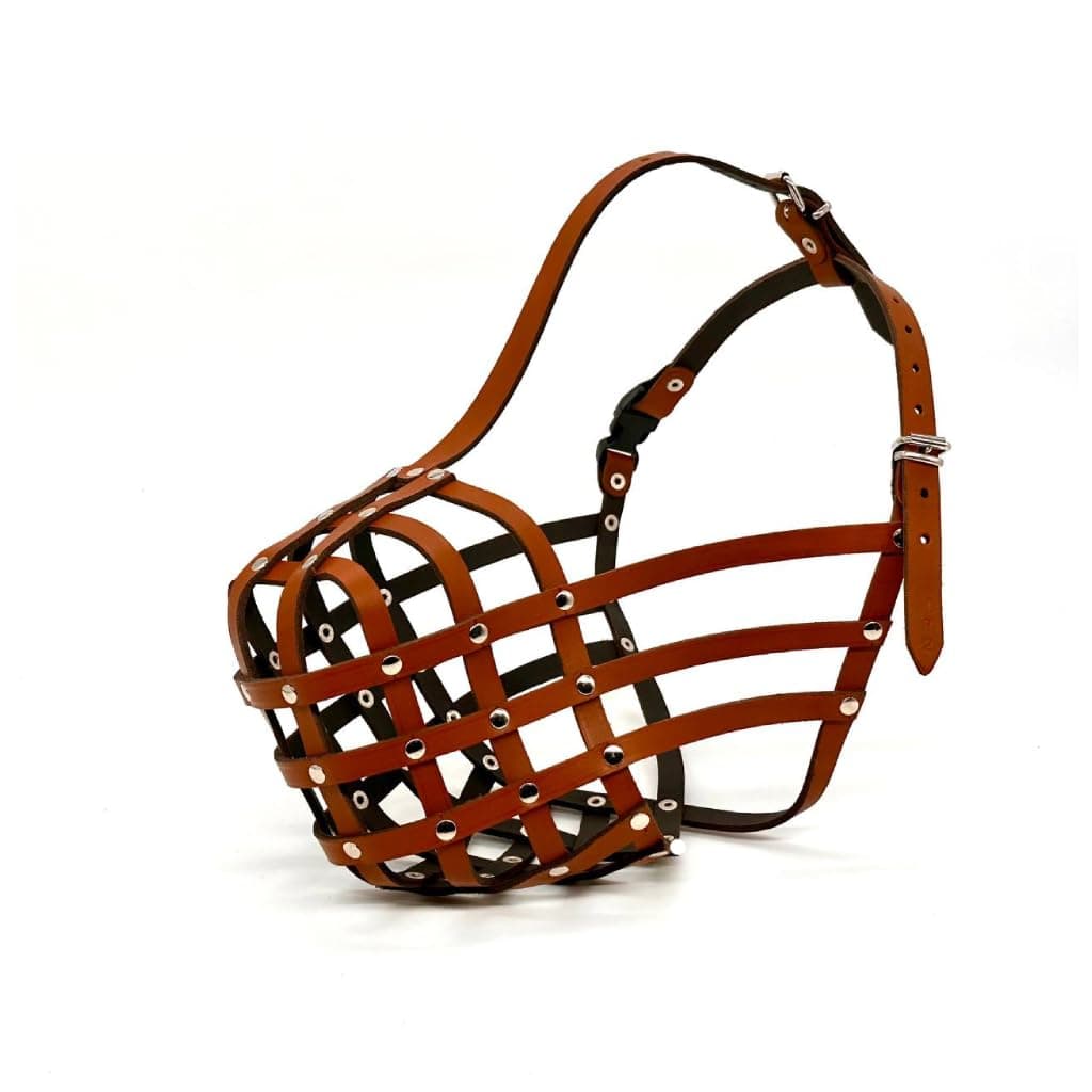 Light Genuine Leather Dog Muzzle for Rottweiler,Mastiff and Other Similar Snout (R2, Brown)