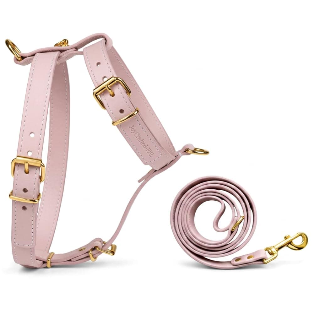 JoyCrafted Luxury No Pull Harness and Leash Set for Medium Size Dogs with Front & Back Clip - Escape Proof Premium PU Leather Adjustable Dog Walking Harness - No Choke & Easy to Clean Dog Harnesses