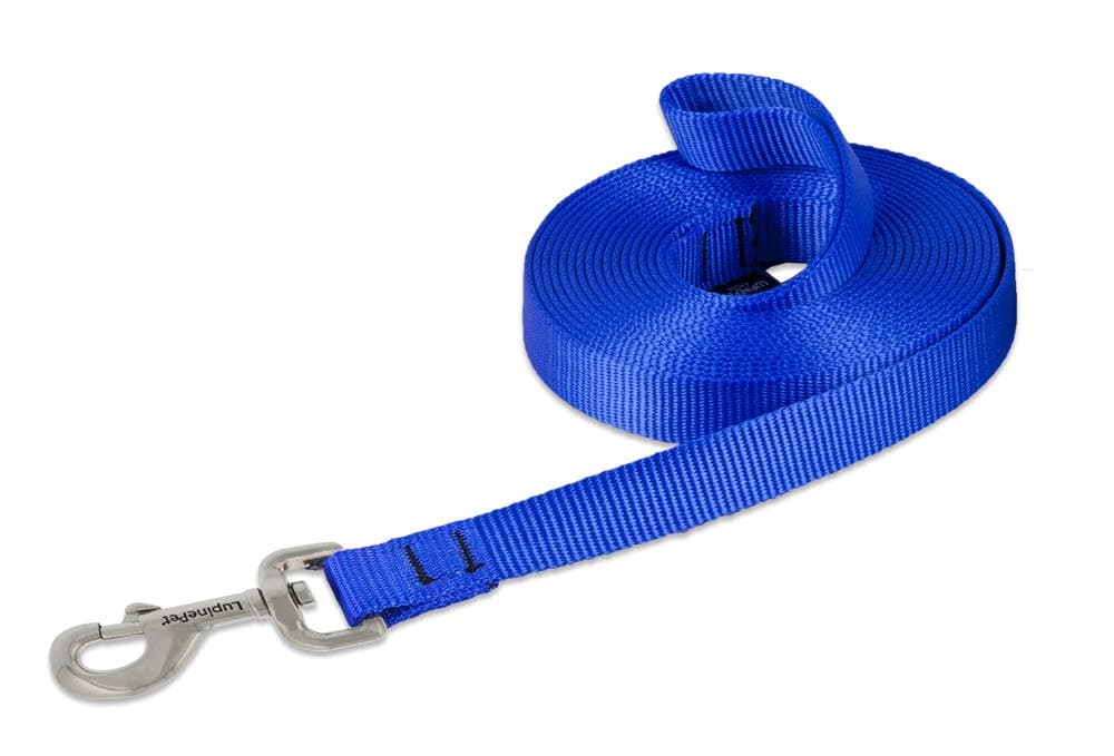 Lupine Training Lead for Medium and Larger Dogs, 3/4-Inch Wide by 15-Feet Long, Blue