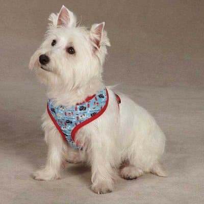 Casual Canine ZA3440 12 19 Toughdog Harness Small, Blue