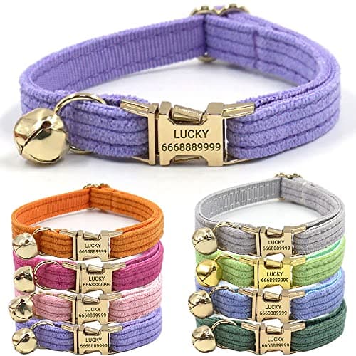 PETDURO Personalized Cat Collars Stripe Velvet Multi Colors with Name Engraved on Gold Metal Buckle Fancy Customized for Girl and Boy Cats - Bow Tie Available _ Dark Purple
