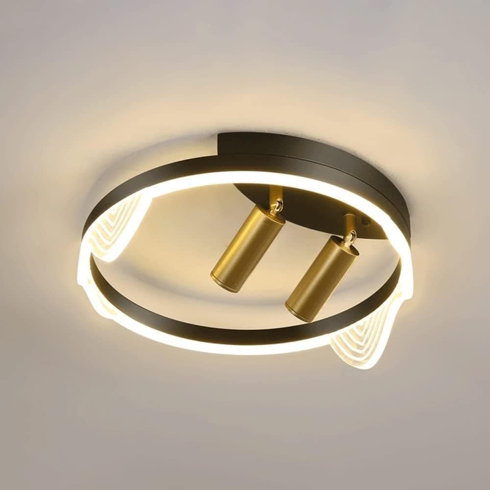 ROPCVAX Metal Ceiling Mount Spot Light Fixtures Adjustable Ceiling Spotlights Fixed Track Lighting Kit Directional Spotlight Accent Lamps for Kitchen Gallery Hallway(Dark,40CM)