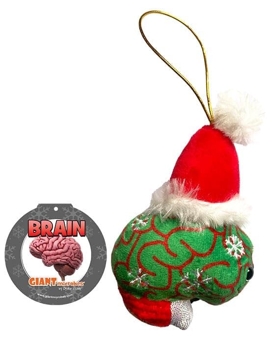 GIANTmicrobes Brain Organ Plush Ornament, Biology Christmas Ornaments, Medical Christmas Ornaments, Medical Assistant Ornament, Secret Santa Gifts, Science Stocking Stuffers, Anatomical Brain Model