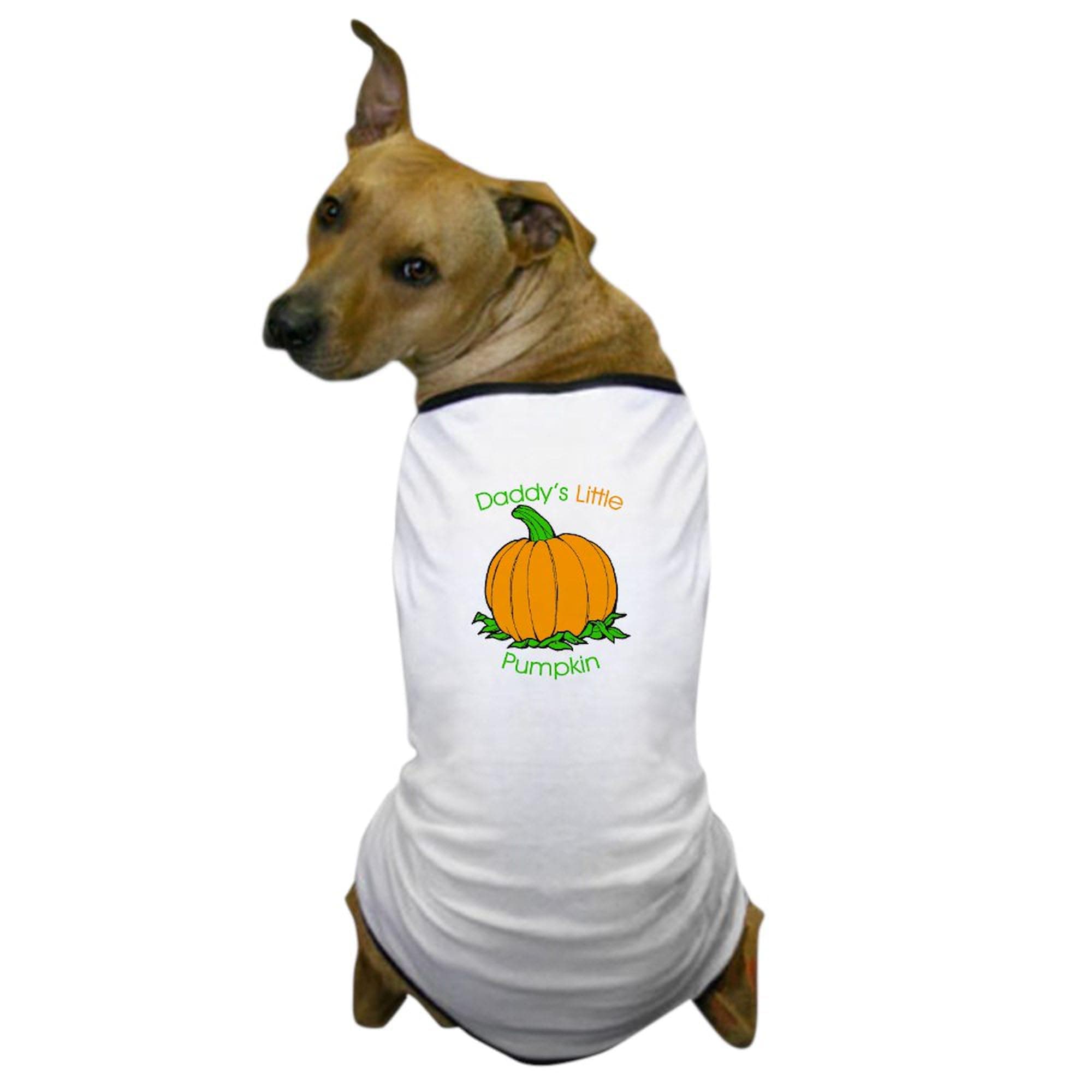 CafePress Daddy's Little Pumpkin Dog T Shirt Dog T-Shirt, Pet Clothing, Funny Dog Costume