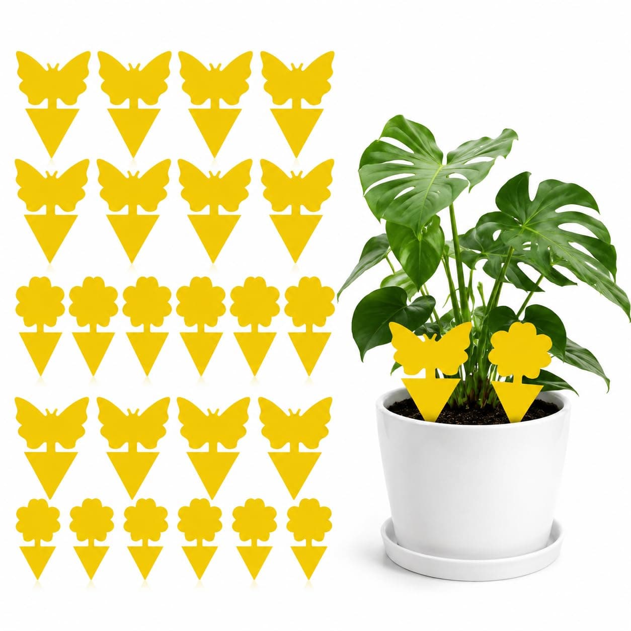 Fruit Fly & Gnat Sticky Traps 50-Pack, Dual-Sided Yellow Sticky Bug Traps for Indoor Plants, Kitchen & Garden, Non-Toxic Insect Traps for Home Use
