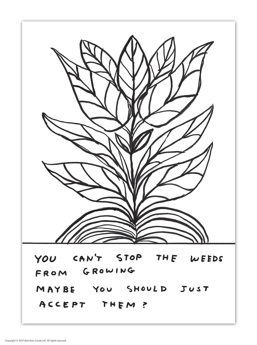 Brainbox Candy Official David Shrigley Postcard - 'You Can't Stop the Weeds' - Funny Postcards - David Shrigley Art - A6 Print - Artistic Postcard - Garden Themed