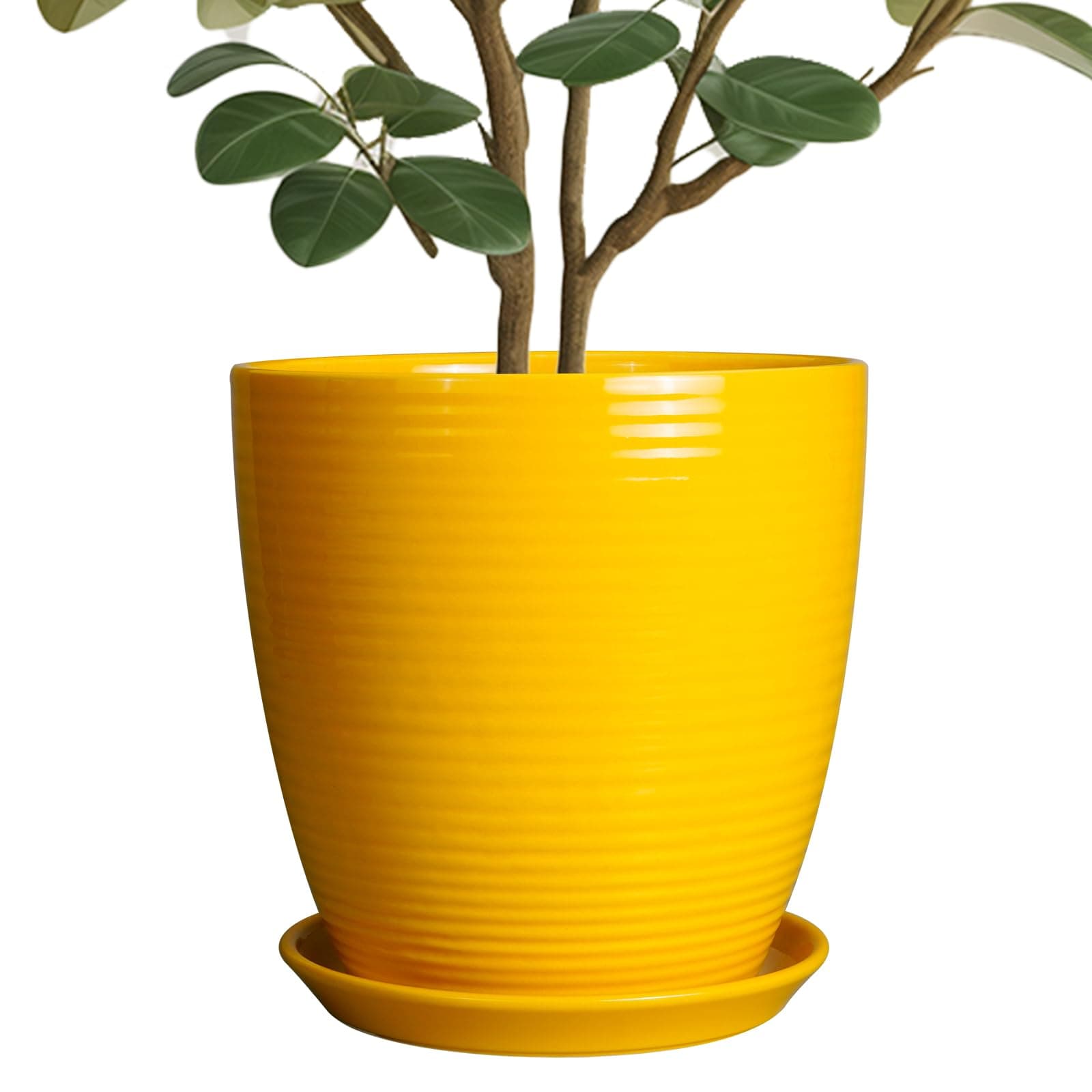 EPFamily 10 Inch Plant Pot - Ceramic Pot for Plants Outdoor Planter for Indoor Plants Large Plant Pot with Drainage Hole and Saucer Round Flower Pot for Home Patio Office Yellow