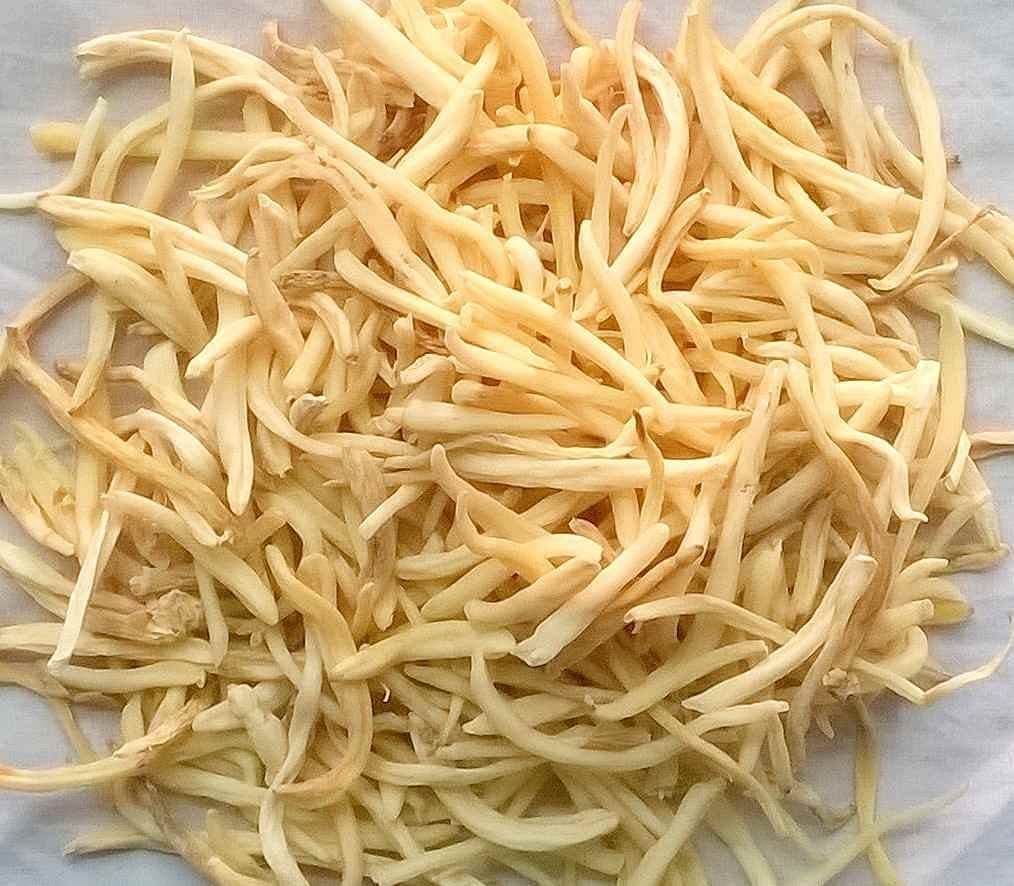 Verem Safed Musli 100grm /safed Musli/chlorophytum Borvilianum Root/White Musli/shweta Musli Root
