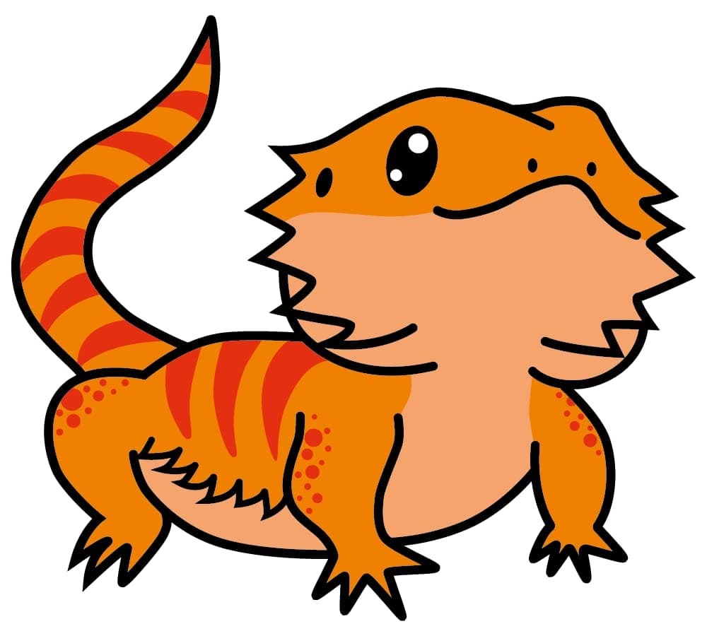 Home Art 18" x 20" Orange Stripes Armadillo Lizard Iguana Removable Vinyl Wall Decoration Cartoon Reptile Animal Art Design Kids Bedroom Living Room Wall Decal Sticker