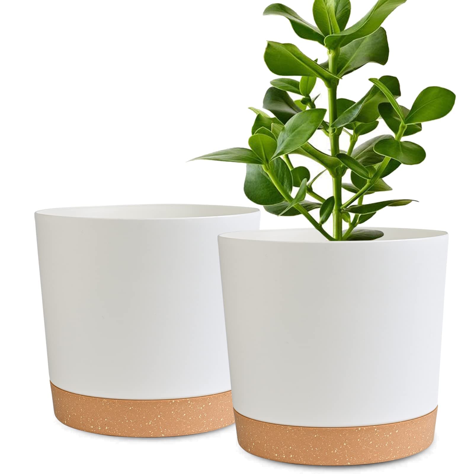 Plant Pots 2 Pack Flower Pots for Indoor Plants 8 inch Pots Planters for Indoor Plants with Drainage Holes and Saucers Pots for Plants Flower Pot for Indoor Outdoor Garden Planters(White)