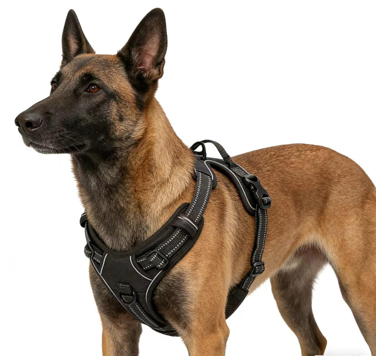 Azinoo Adjustable Reflective Black No-Pull Dog Harness with 2 Leash Clips，Soft Padded Vest for Large Dog, Easy to Put on and Take Off, Black L