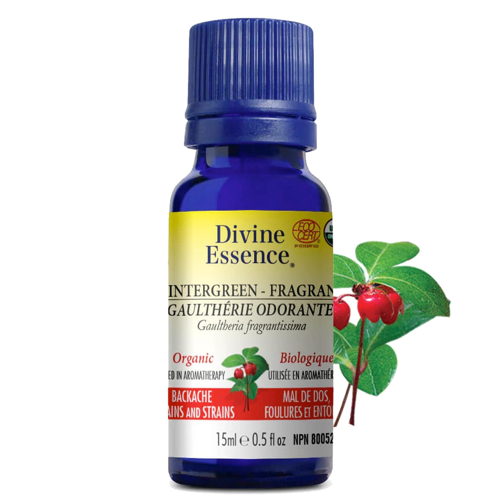 Organic-Wintergreen Fragrant Essential Oil-100% pure & natural-15ml, ECOCERT NPN: 80052775