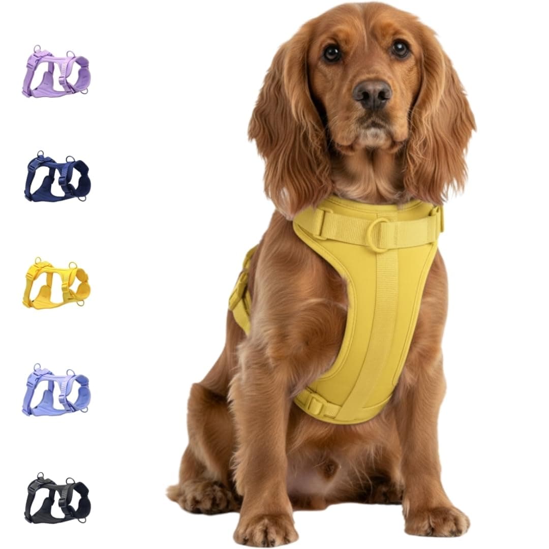 Dog Harness, No-Pull Pet Harness with 3 Leash Clips, Adjustable Soft Padded Dog Vest, Breathable Mesh Cushion for Small Medium Large Dogs (Yellow, Medium (Neck:15"-19" Chest 22"-30"))