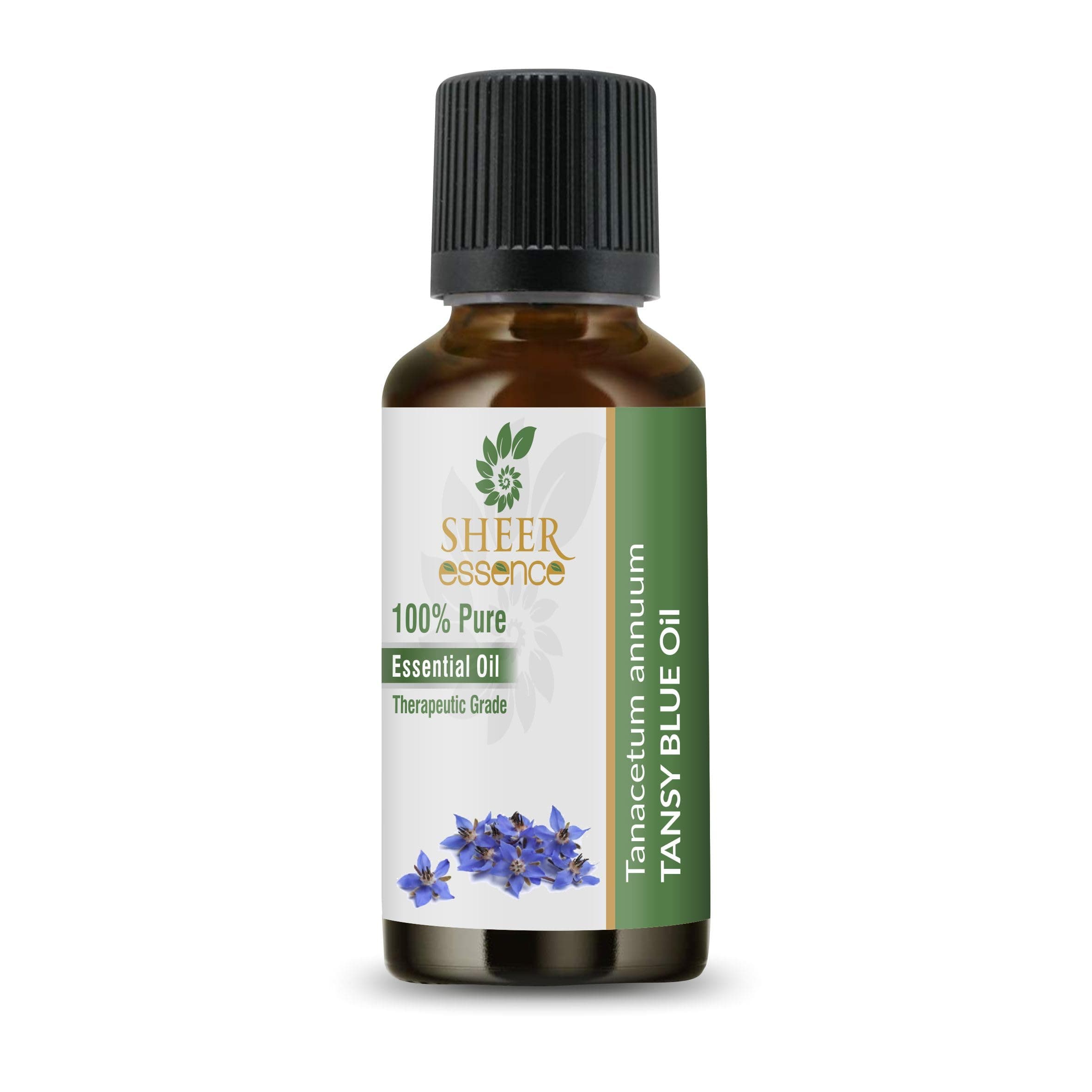 Blue Tansy Oil (Tanacetum Annuum) Essential Oil 100% Pure Natural Undiluted Uncut Therapeutic Grade Oil 3.38 FL.OZ