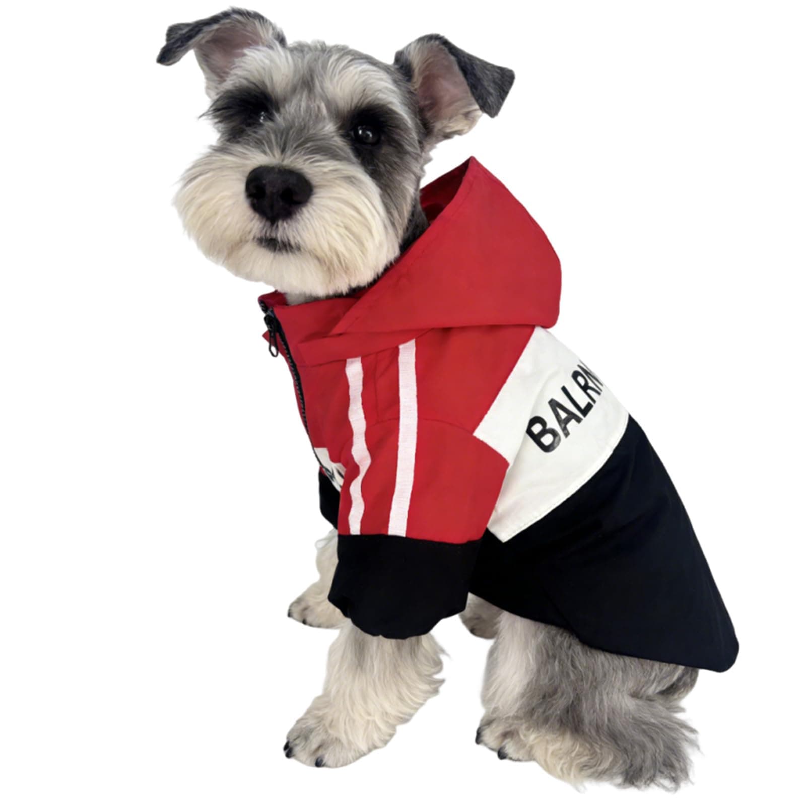 floofelove Windproof Puppy Jacket Waterproof Small Dog Clothes for Boys with Zipper - Lightweight Winter Dog Coat 9-11 lb