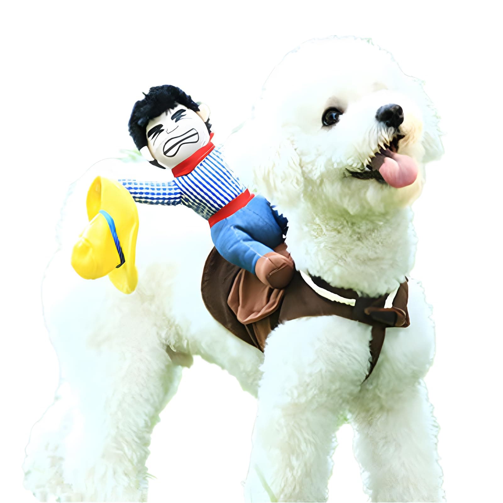 DELIFUR Dog Costumes Pet Costume Pet Halloween Suit Cowboy Rider Style Dogs Outfits(S)