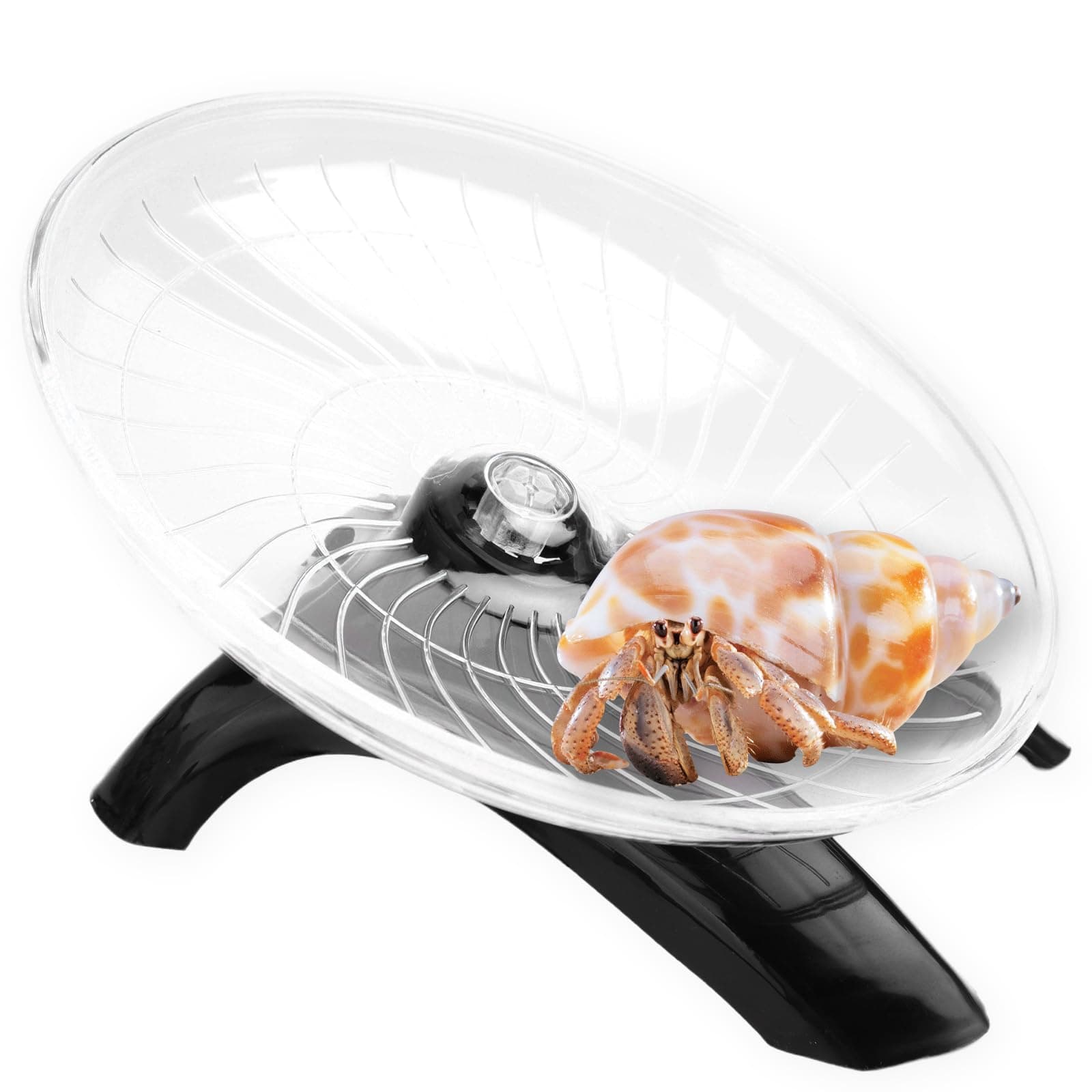 HUYCZ Hermit Crab Climbing & Running Wheel Toy Small Animal Exercise Wheel for Hermit Crabs Hamsters Gerbils Cage & Tank Accessories