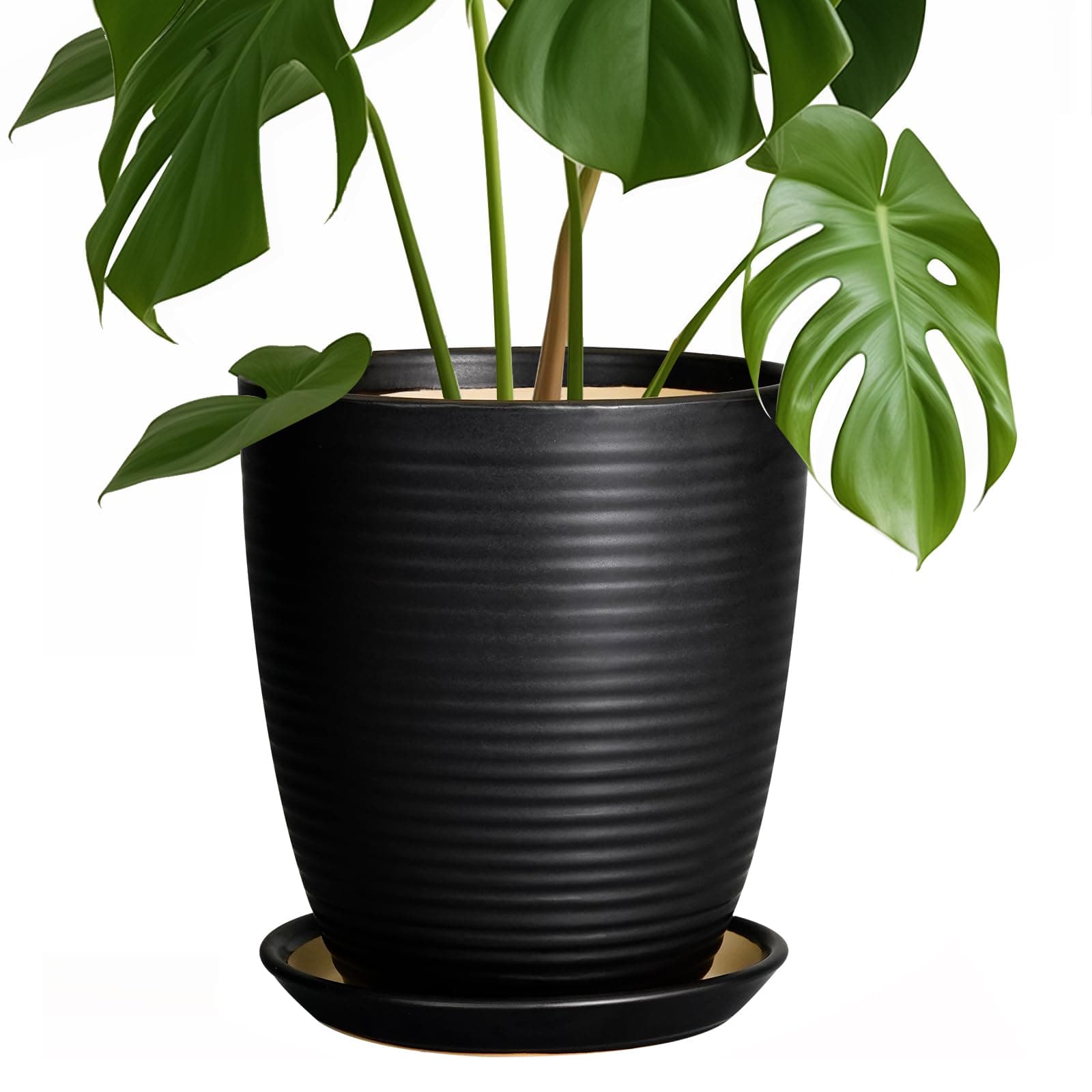 EPFamily 8 Inch Ceramic Planter Pot with Drainage Hole and Saucer, Indoor Round Planter Pot, Black