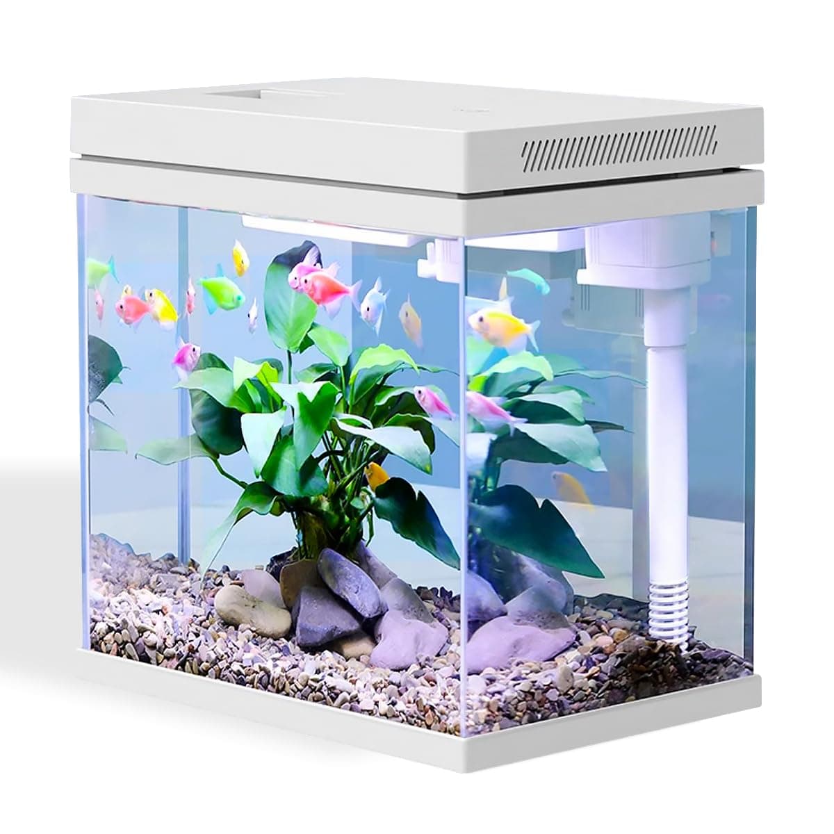 Craftsboys 13.5L Fish Tank, Nano Glass Aquarium, Upgrade Filter system and LED Light, for Freshwater & Marine, Filter Balls Included (White, 13.5L)