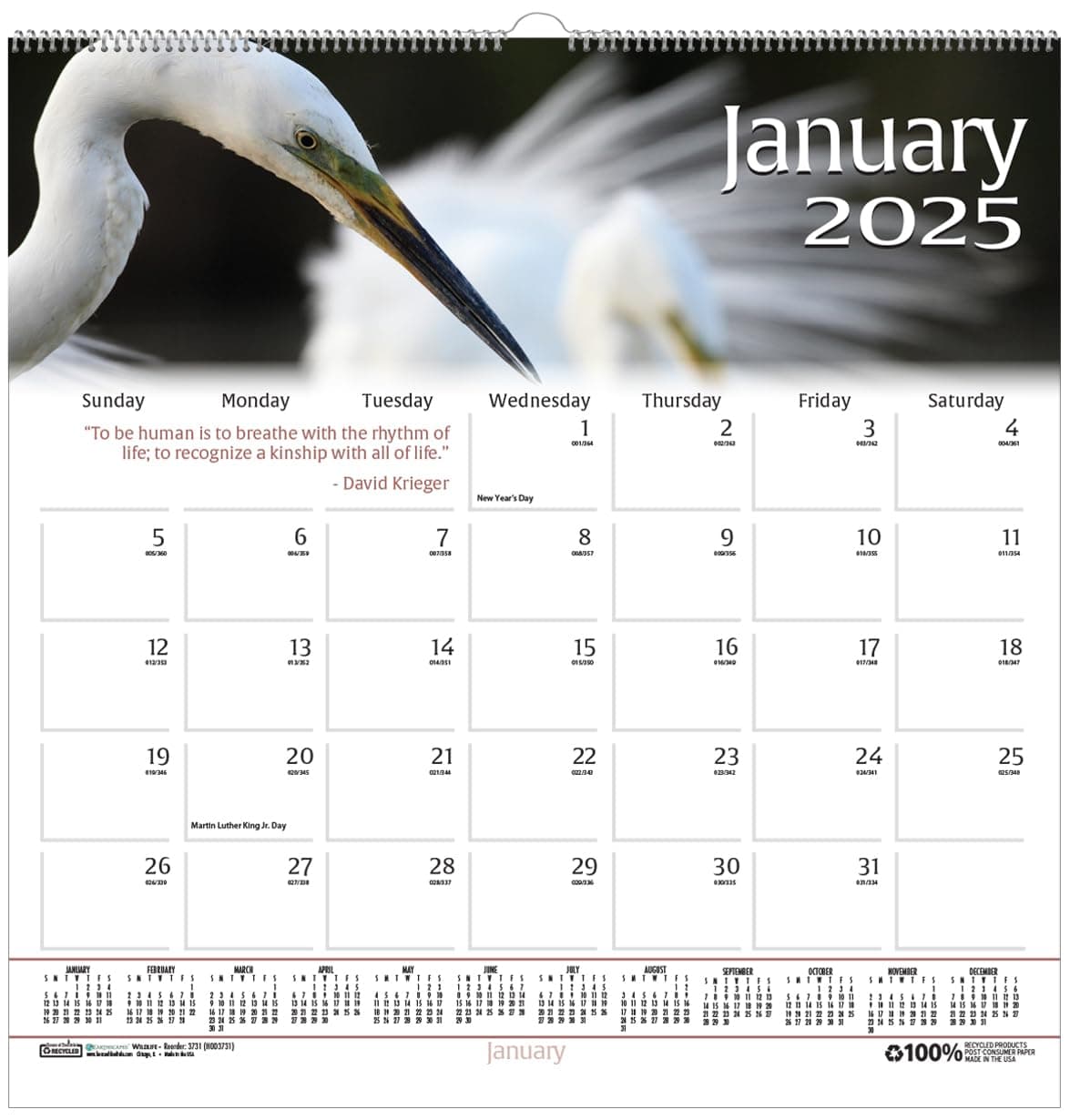 House of Doolittle 2025 Monthly Wall Calendar, Earthscapes Wildlife, 12 x 12 Inches, January - December (HOD3731-25)