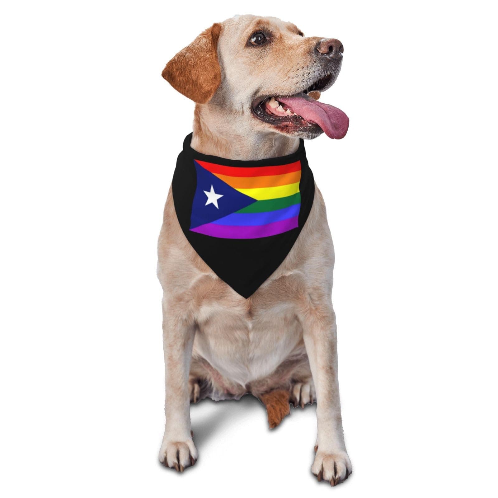 Puerto Rico Rainbow Gay Pride Flag Dog Bandana Stylish Triangle Pet Scarf for Dogs and Cats