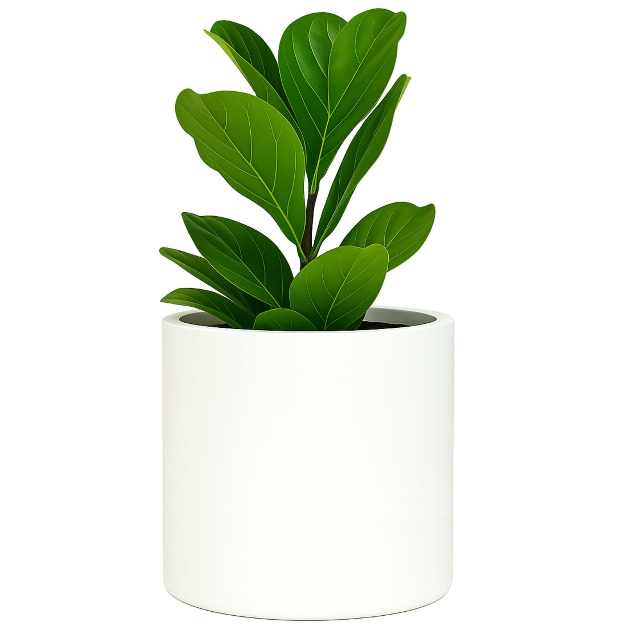 11" Plant Pot by Fox & Fern - Perfectly Fits Mid-Century Modern Plant Stand - Drainage Plug - Matte White
