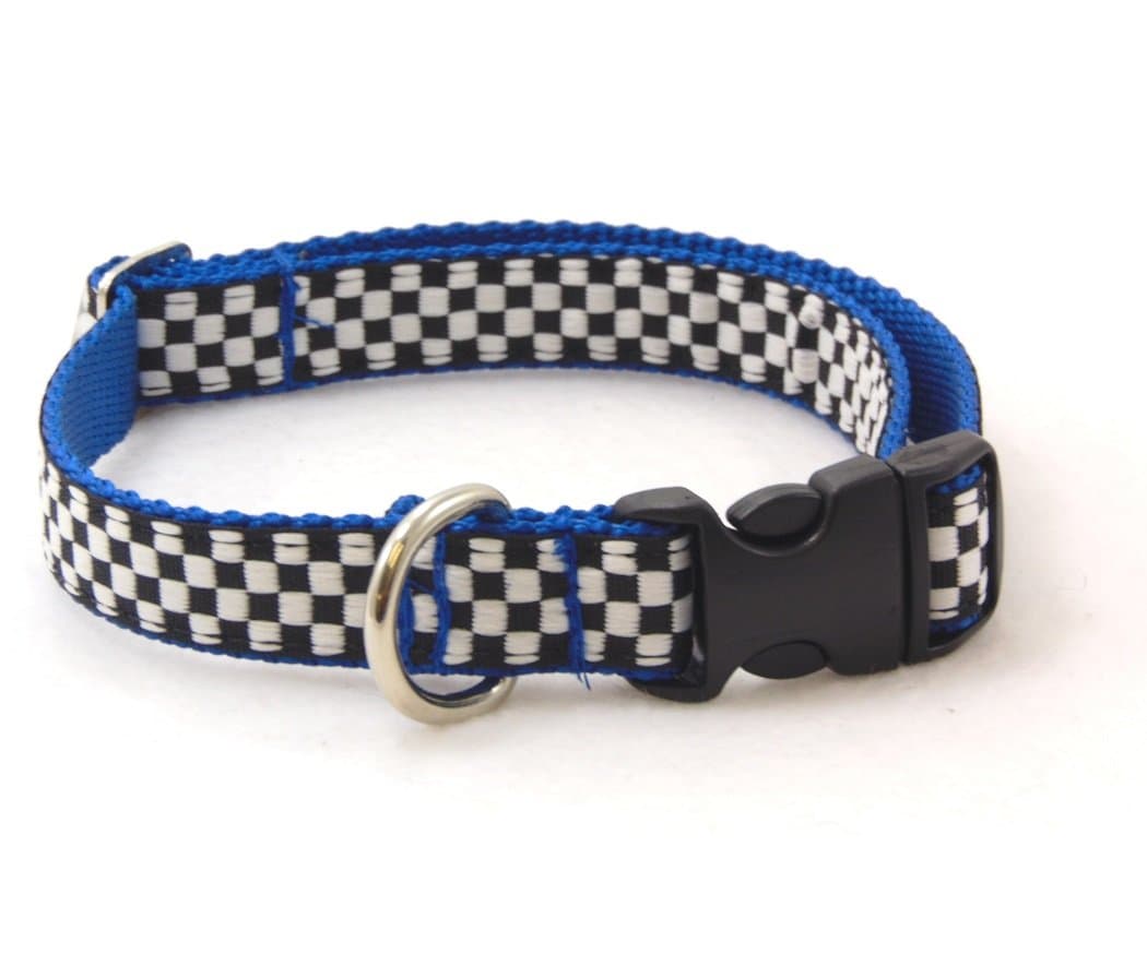 Monterey Blue Speedway Dog Collar (MD-3/4 x12-20")