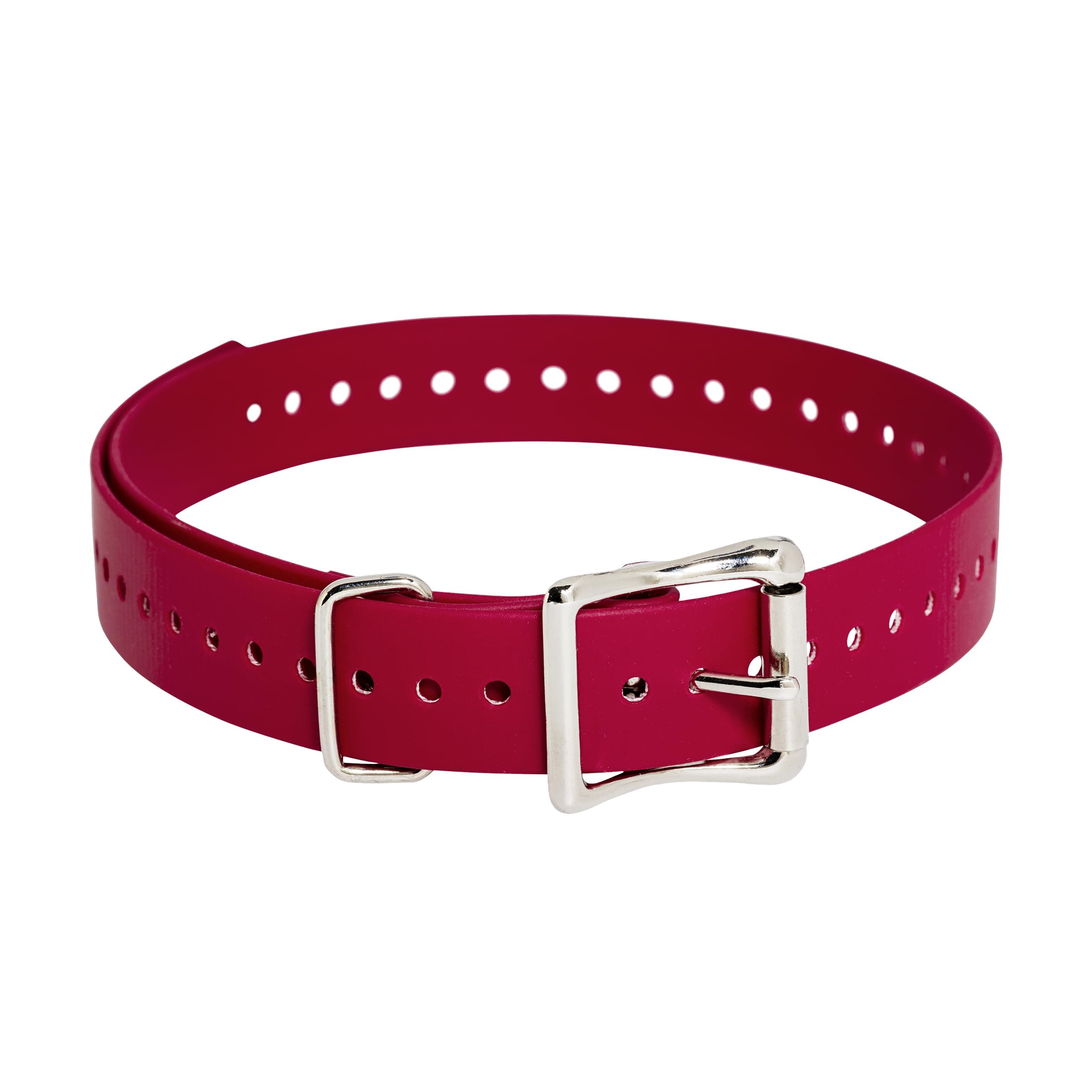 SportDOG Brand Replacement 1" Collar Strap - Red