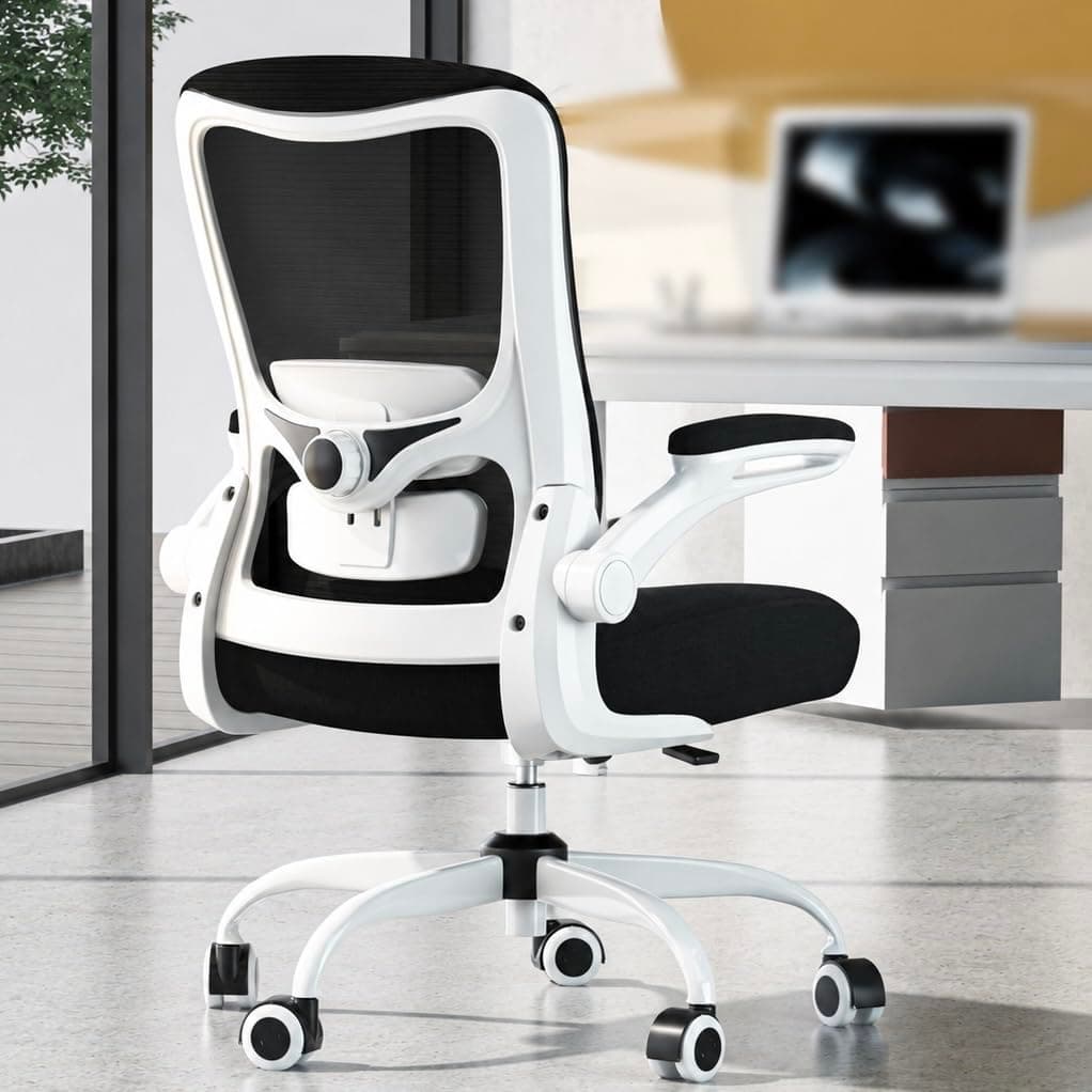 Zeonsit Ergonomic Office Chair - High Back Desk Chair with Adjustable Lumbar Support, Breathable Mesh Back, 330LBS Capacity, Easy Assembly, for Home Office Executive Computer Task (White-Charcoal)