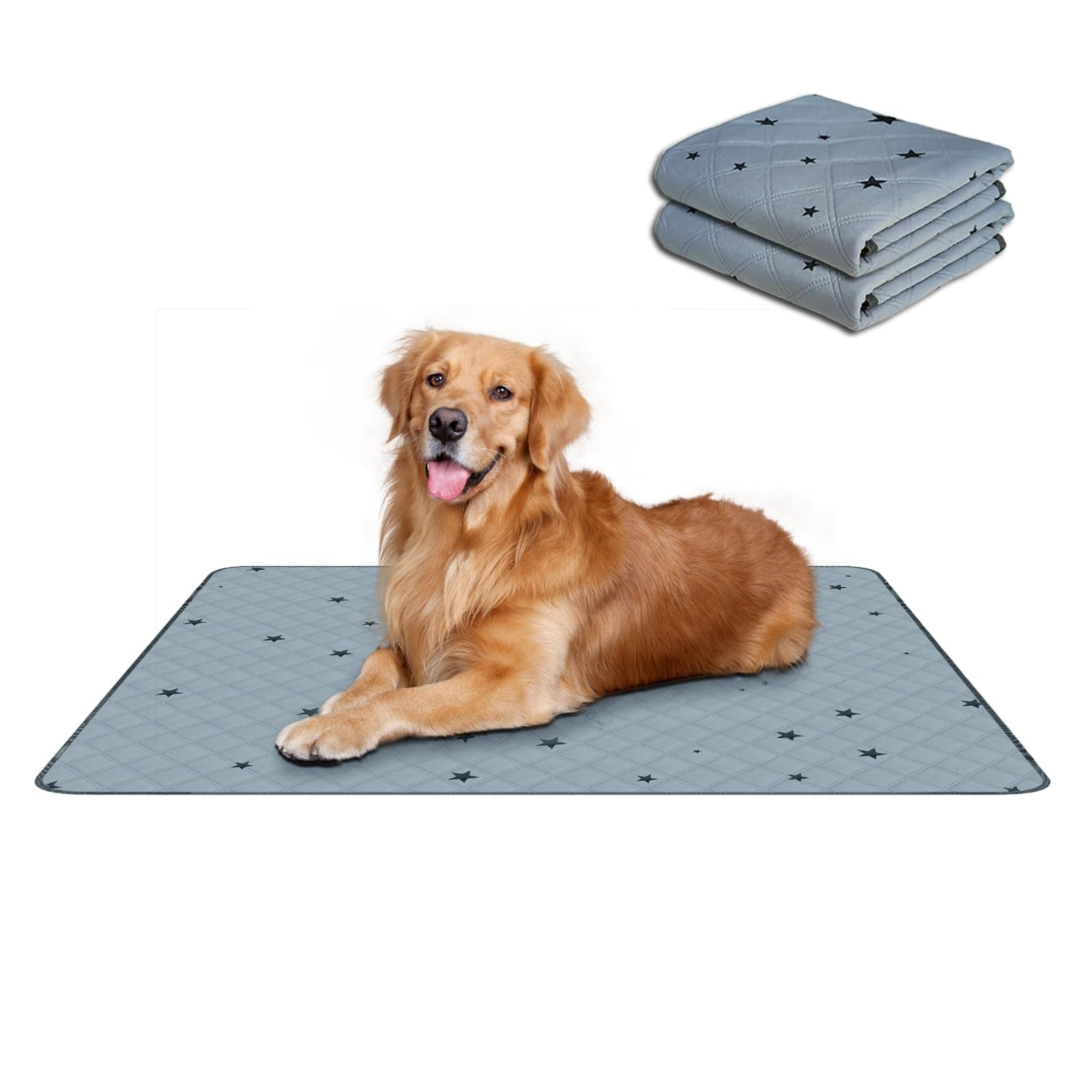 RIOUSSI Reusable Pee Pads for Dogs, Puppies. Washable, Absorbent, Leakproof