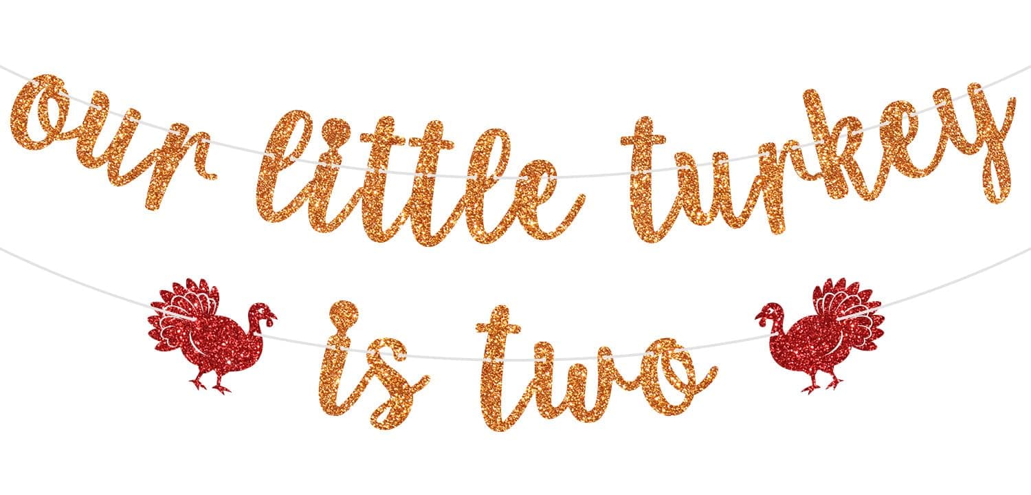 Our Little Turkey is Two Banner, Fall Second Birthday Sign, Autumn Thanksgiving Turkey 2nd Birthday Party Decorations