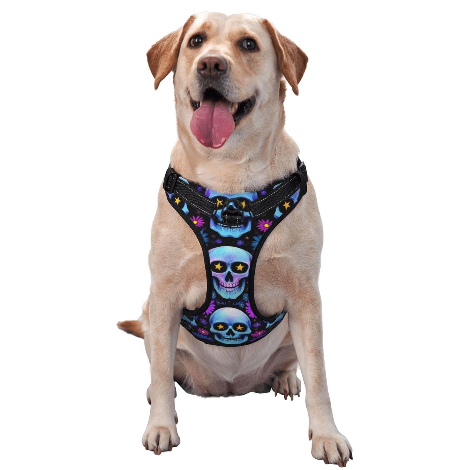 Dog Harness Cute Design Soft No Pull Small, Large, Medium Dogs (Flowers Floral Skull)