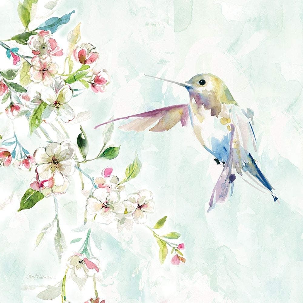 Posterazzi Collection Hummingbird IV Poster Print by Carol Robinson (12 x 12)