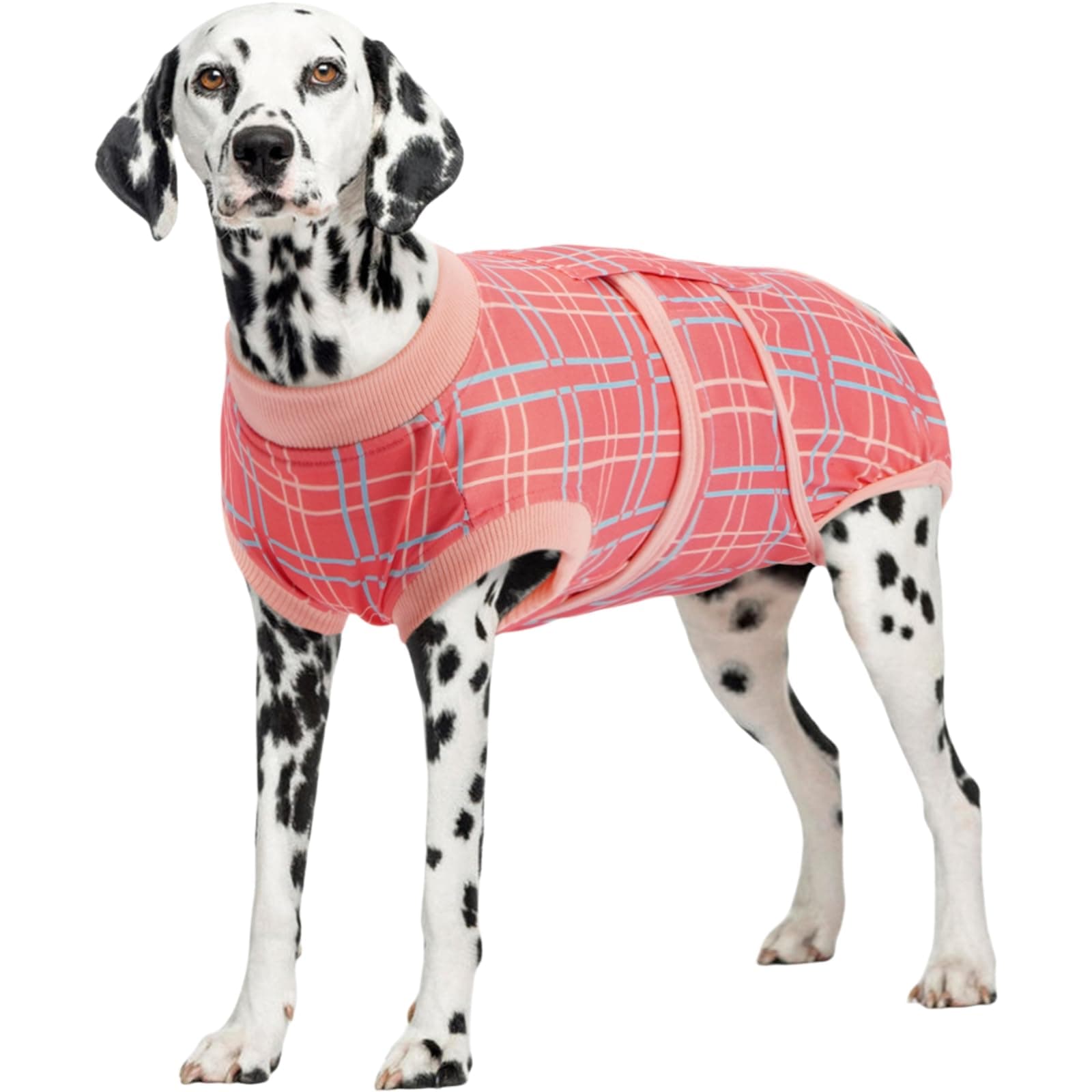 Kuoser Dog Recovery Suit Female, Soft Puppy Surgery Suit, Dog Recovery Suit After Surgery, Post-Op Onesie for Female & Male Dogs, Soft Protective Wear