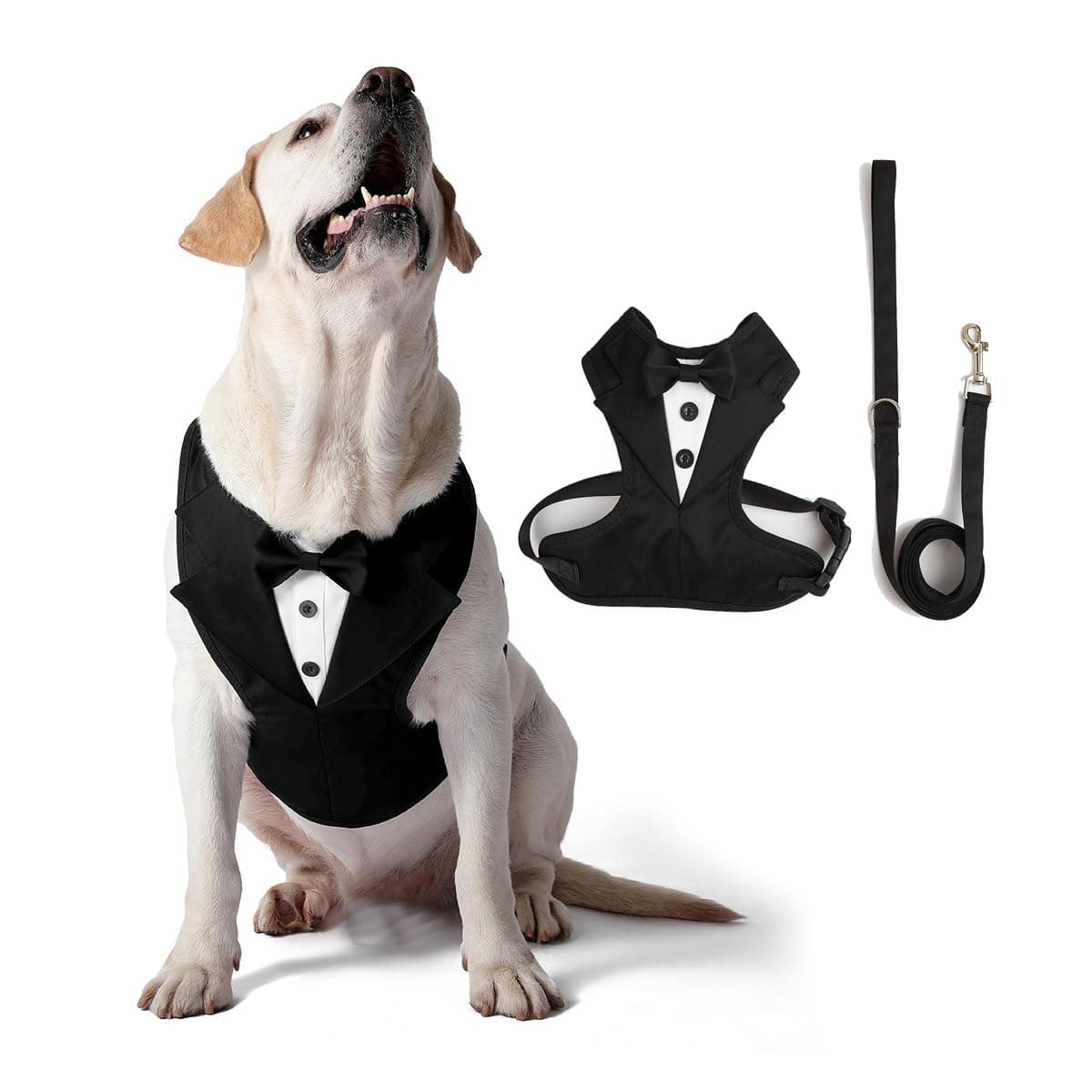 PawPleasure Dog Tuxedo Harness, Adjustable Pet Harness No Pull for Small Medium Dogs, Doggie Wedding Suit with Bow Tie Party Costume (Black, XXL)