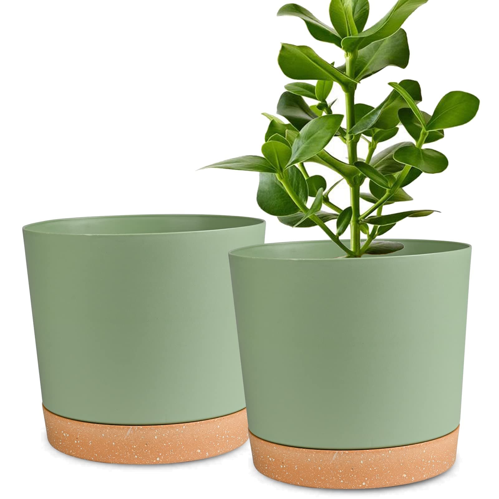 Plant Pots 2 Pack Flower Pots for Indoor Plants Pots Planters for Indoor Plants with Drainage Holes and Saucers Pots for Plants Flower Pot for Indoor Outdoor Garden Planters (Green, 6.5 inch)