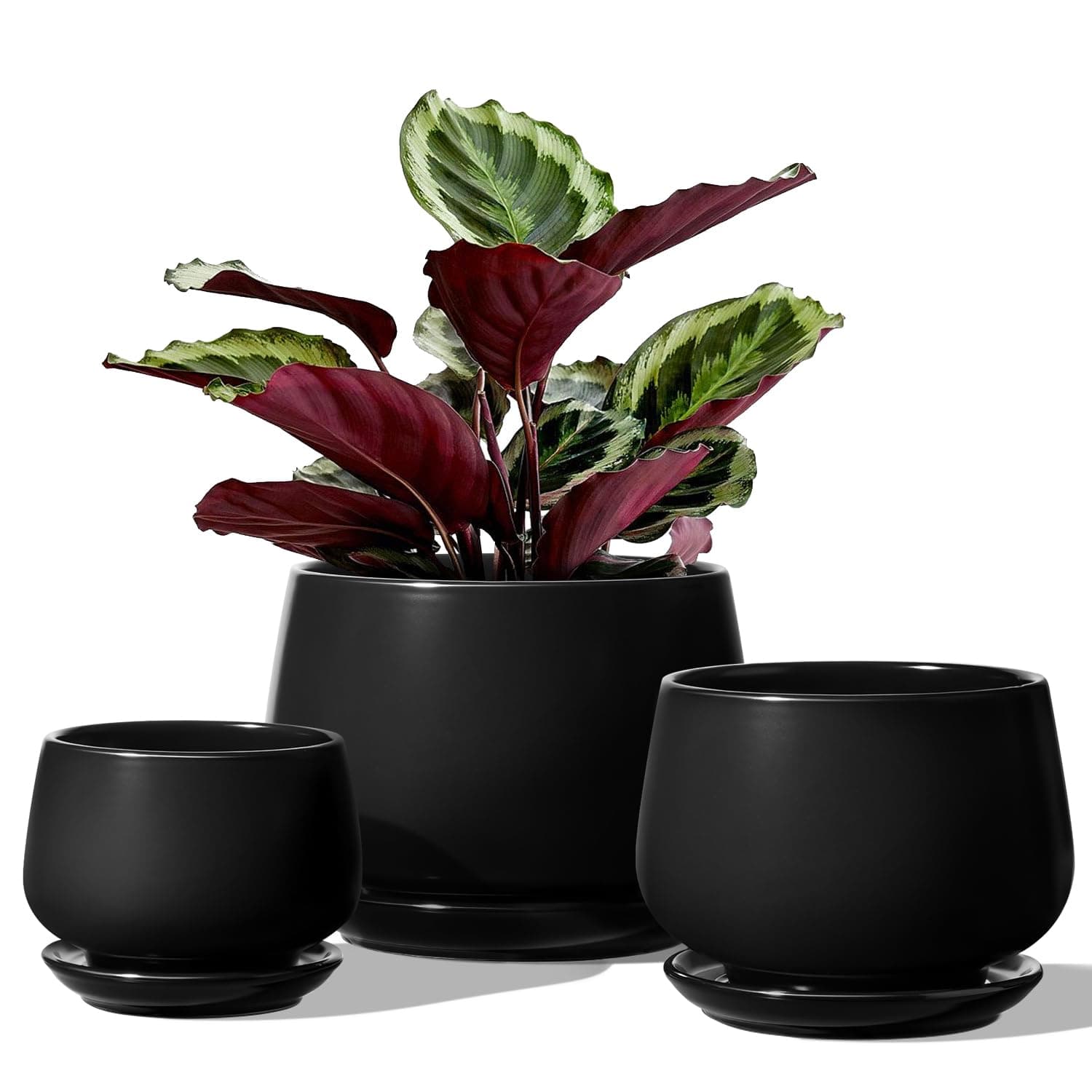 LE TAUCI Plant Pots, 4+5+6.5 Inch, Set of 3, Indoor Plant Pots, Black