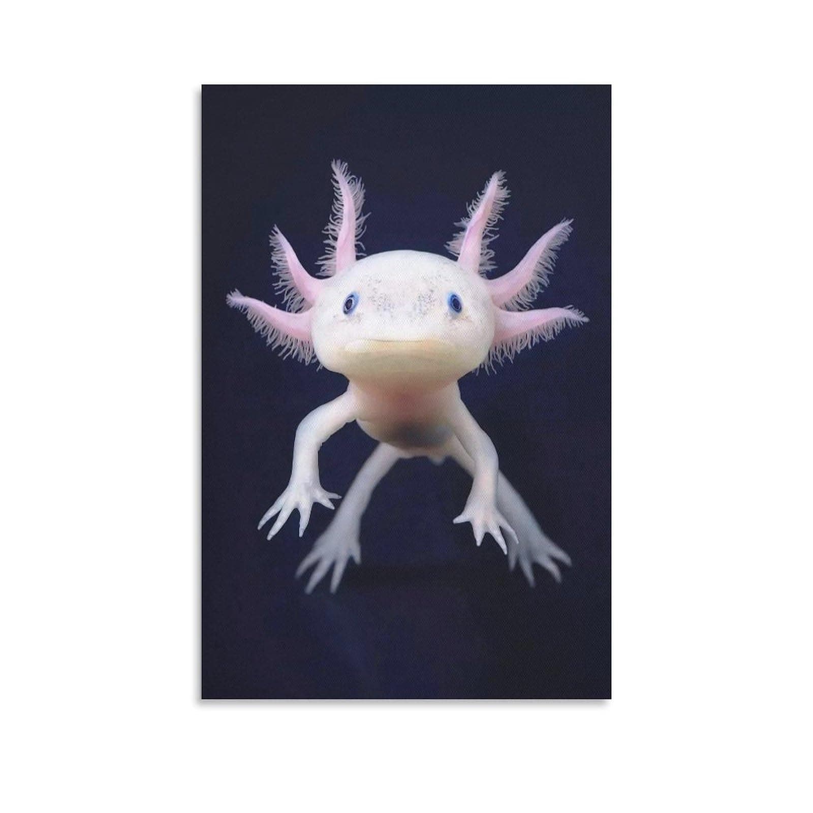 Wall Art Reptile Animal Axolotl Canvas Posters Birthday Gifts Decorations Printing Decor Marine Life for Living Room Kids Bedroom Wall Decor And Home Decor 16x24inchs