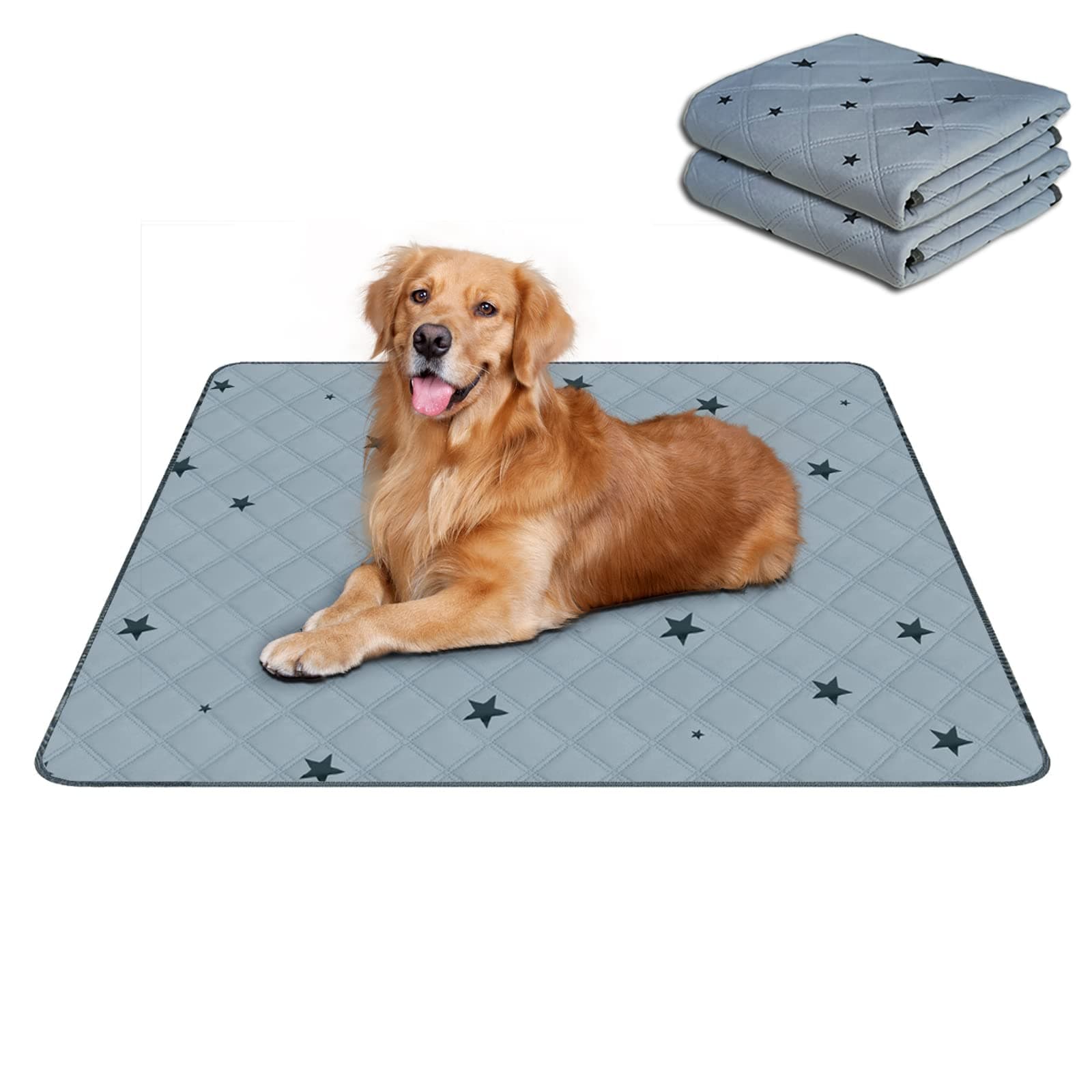 RIOUSSI Reusable Pee Pads for Dogs, Puppies. Washable, Absorbent, Leakproof