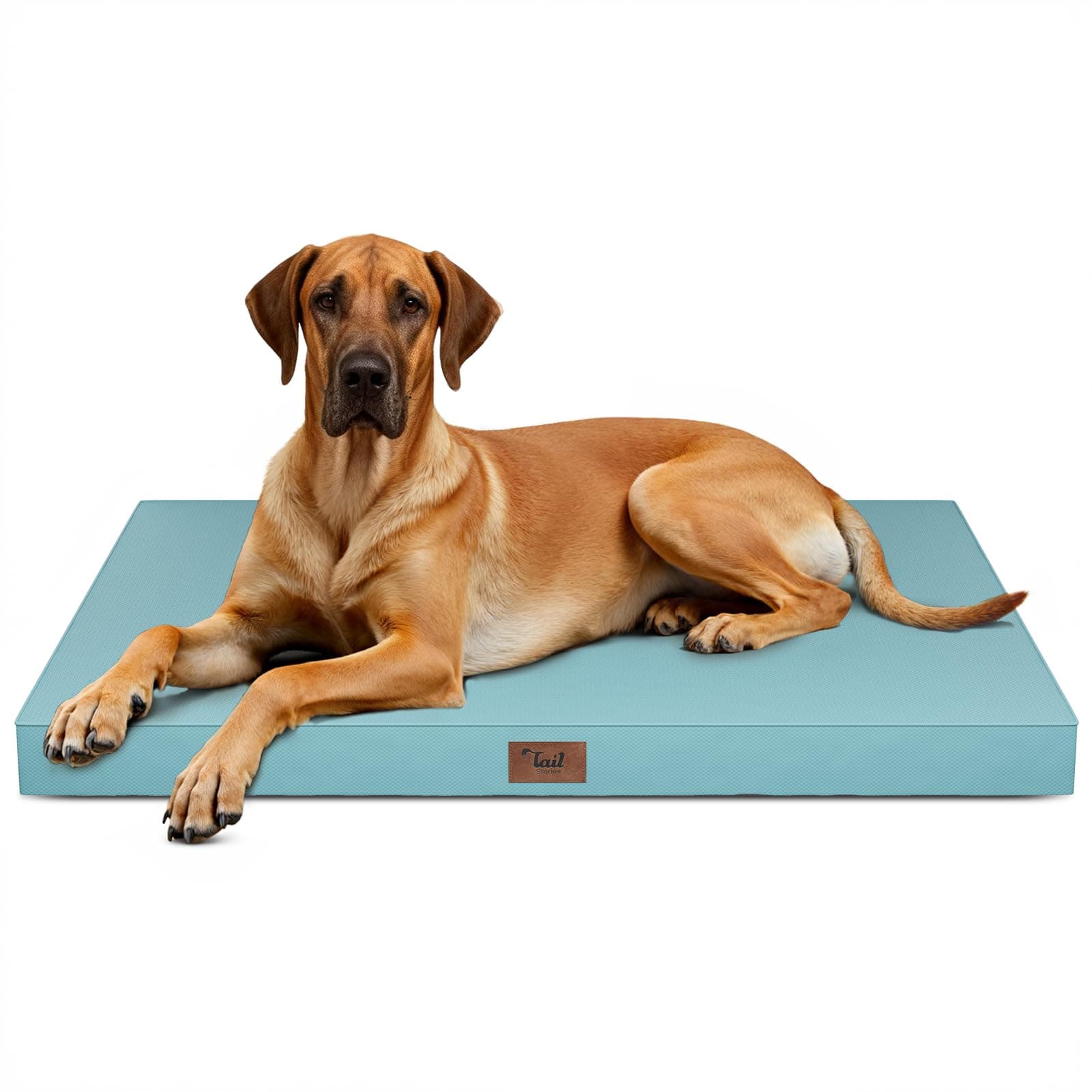 Tail Stories Jumbo Waterproof Orthopedic Dog Bed for Extra Large Dogs
